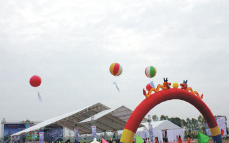 Khinh khí cầu: nhiều màu sắc cho thuê